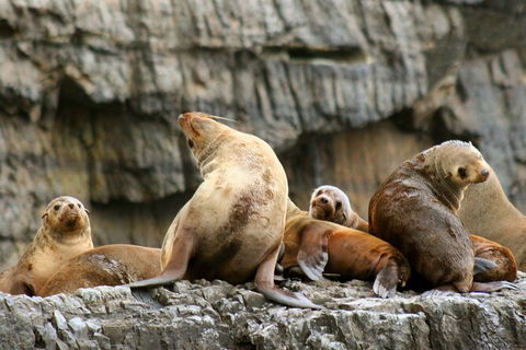 Day Trip To Tasman Peninsula And Port Arthur Historic Site From Hobart - Attractions 14