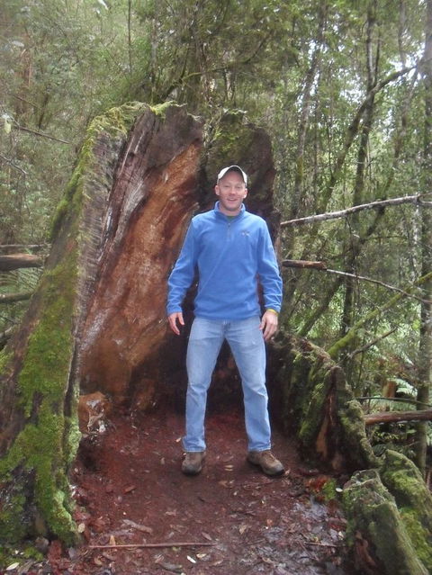 Mt Field National Park And Russell Falls From Hobart - Attractions 6