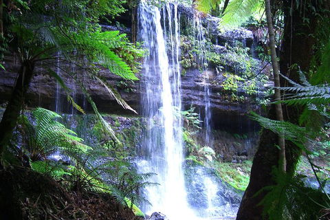 Mt Field National Park And Russell Falls From Hobart - Attractions 1