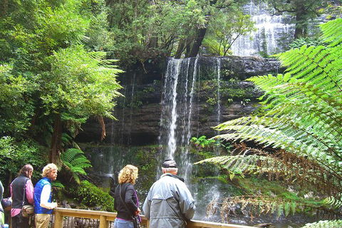 Mt Field National Park And Russell Falls From Hobart - Attractions 0