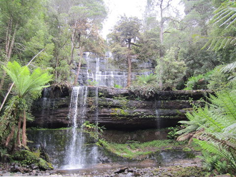Mt Field National Park And Russell Falls From Hobart - Attractions 4
