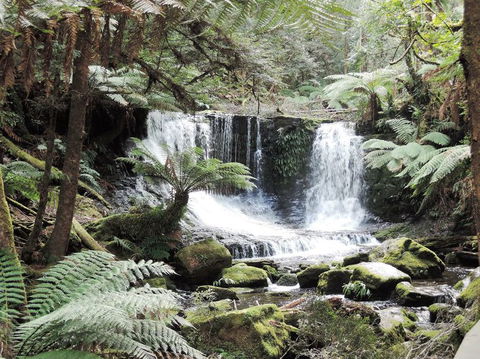 Mt Field National Park And Russell Falls From Hobart - Attractions 2