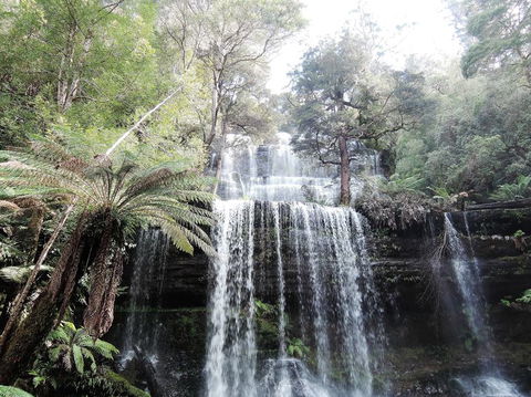 Mt Field National Park And Russell Falls From Hobart - Attractions 3