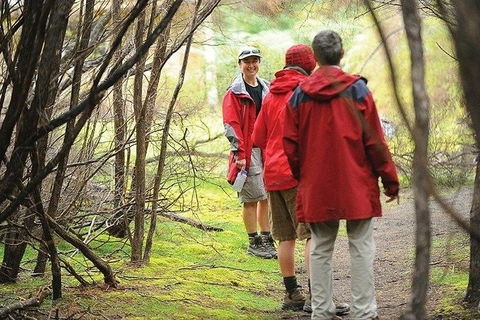 Great Walks Of Australia: 4-Day Freycinet Experience Walk - Attractions 7