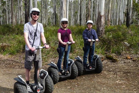 Hollybank Wilderness Adventures - Segway Tour - Attractions 1