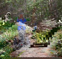 Hollybank Wilderness Adventures - Segway Tour - Attractions