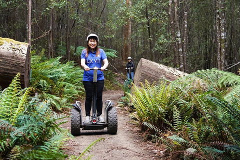 Hollybank Wilderness Adventures - Segway Tour - Attractions 2