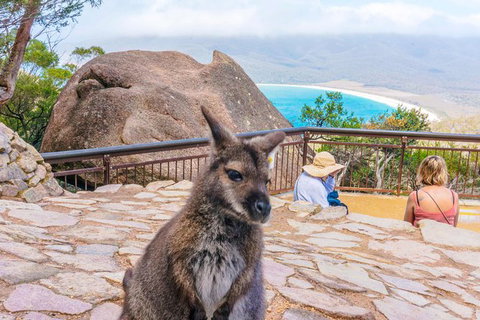 Wineglass Bay & Freycinet NP Full Day Tour From Hobart Via Richmond Village - See Attractions 0