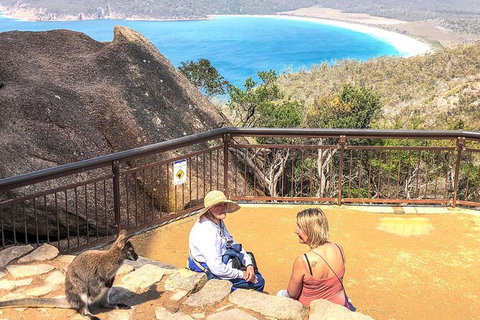 Wineglass Bay & Freycinet NP Full Day Tour From Hobart Via Richmond Village - See Attractions 7