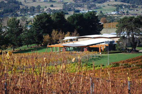 Home Hill Winery Helicopter Tour - Attractions 1