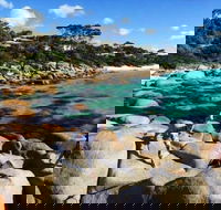 4-Day Tasmania East Coast Adventure from Launceston to Hobart Including Bay of Fires Wineglass Bay Bruny Island and Port Arthu - Attractions