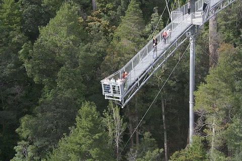 Cruise Ship Special From Hobart: Mt Wellington And Tahune AirWalk - Attractions 0