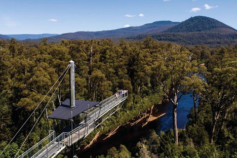 Cruise Ship Special From Hobart: Mt Wellington And Tahune AirWalk - Attractions 6