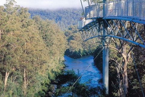 Small-groupTour From Hobart: Mt. Wellington, Huon Valley And Tahune AirWalk - Attractions 0
