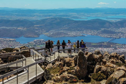 Small-groupTour From Hobart: Mt. Wellington, Huon Valley And Tahune AirWalk - Attractions 5