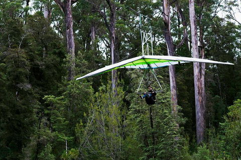Small-groupTour From Hobart: Mt. Wellington, Huon Valley And Tahune AirWalk - Attractions 4