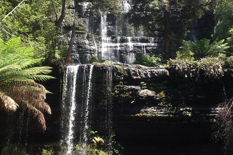 Private Mt Field National Park Day Trip From Hobart Including Salmon Ponds And Bonorong Wildlife Sanctuary - Attractions 0