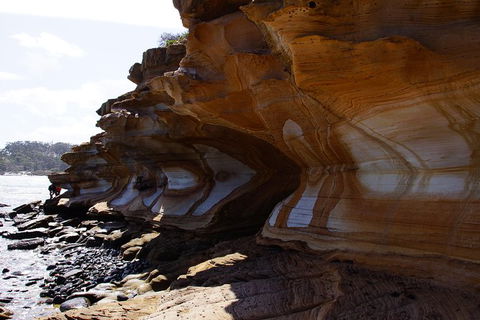 Maria Island National Park - Day Walk And Picnic Lunch - Attractions 17