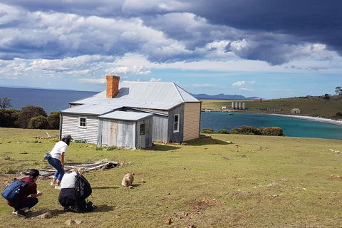 Maria Island National Park - Day Walk And Picnic Lunch - Attractions 16