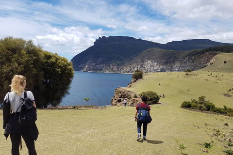 Maria Island National Park - Day Walk And Picnic Lunch - Attractions 6