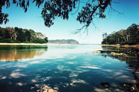Full-Day Guided Bruny Island Tour From Hobart - Attractions 4