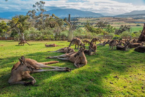 2 Day - Two Of Tasmania's Best Tour - Attractions 1