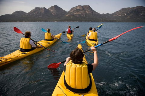 The Freycinet Paddle - Attractions 5