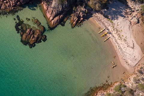 The Freycinet Paddle - Attractions 3