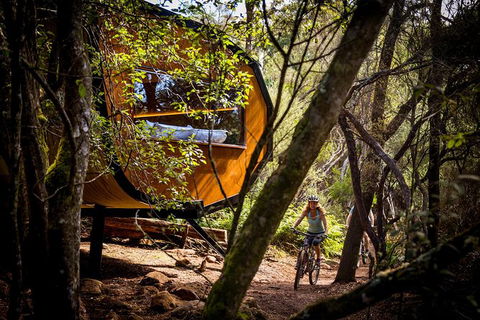 Blue Derby Pods Ride Experience 3-Day Mountain Bike Adventure In Exclusive Pods - Attractions 0