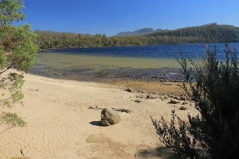 Lake St. Clair And Western Wilderness Active Day Trip From Hobart - See Attractions 5