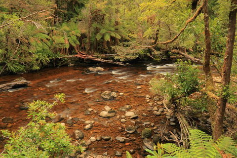 Lake St. Clair And Western Wilderness Active Day Trip From Hobart - See Attractions 15