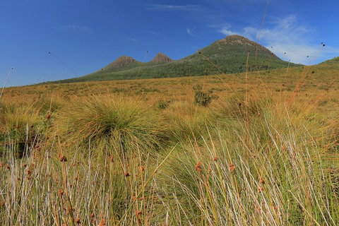 Lake St. Clair And Western Wilderness Active Day Trip From Hobart - See Attractions 11