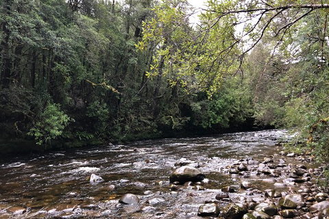 Lake St. Clair And Western Wilderness Active Day Trip From Hobart - See Attractions 4