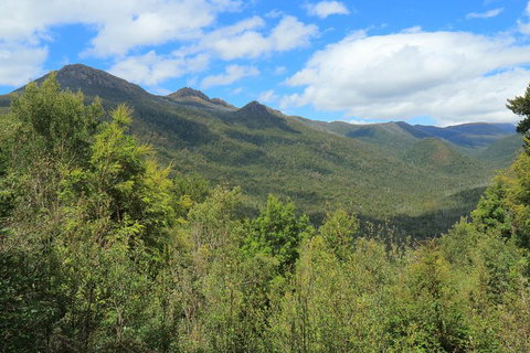 Lake St. Clair And Western Wilderness Active Day Trip From Hobart - See Attractions 13