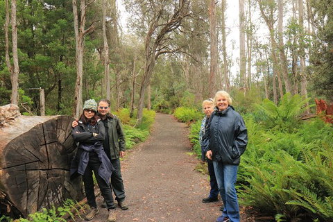Lake St. Clair And Western Wilderness Active Day Trip From Hobart - See Attractions 8