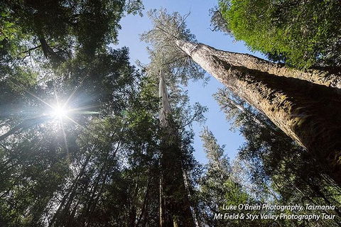 Mt Field And Styx Valley Photography Tour - Attractions 1