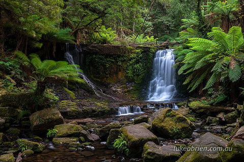 Mt Field And Styx Valley Photography Tour - Attractions 3