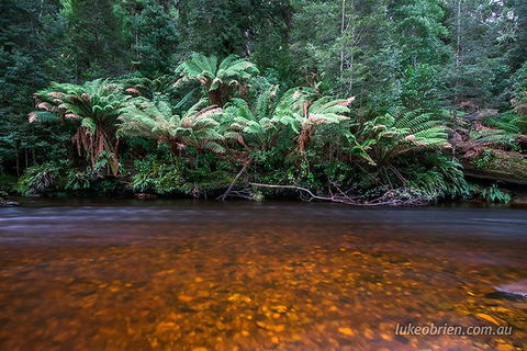 Mt Field And Styx Valley Photography Tour - Attractions 7