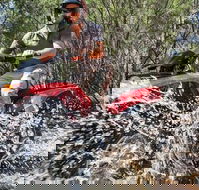 Quad Bike 2-Hour Adventure Freycinet National Park - Attractions