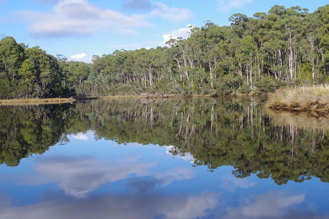 Leven River Picnic Cruise From Ulverstone - Attractions 1