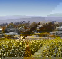 Josef Chromy Wines Winery Tour Including Tasting and Lunch - Attractions