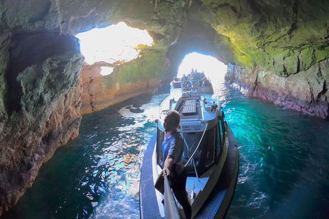 Maria Island Cruise + Walk. Renowned Day Tour With Drinks And Guided Walk - Attractions 4