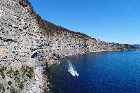 Maria Island Cruise + Walk. Renowned Day Tour With Drinks And Guided Walk - Attractions 13