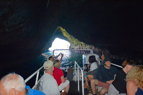 Maria Island Cruise + Walk. Renowned Day Tour With Drinks And Guided Walk - Attractions 11