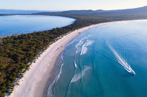 Maria Island Cruise + Walk. Renowned Day Tour With Drinks And Guided Walk - Attractions 2