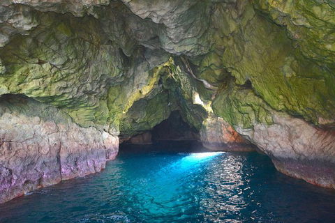 Maria Island Cruise + Walk. Renowned Day Tour With Drinks And Guided Walk - Attractions 5