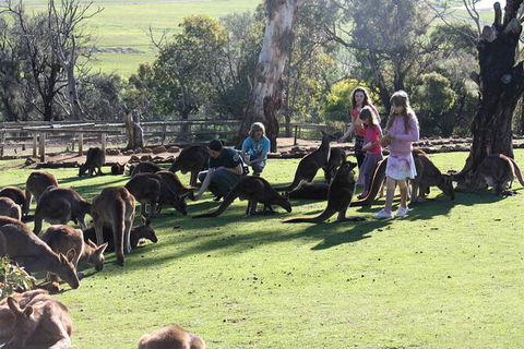 The Port Arthur MEGA Day Trip From Hobart - Attractions 5