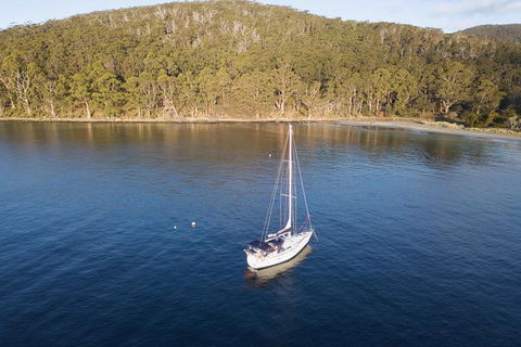 Twilight Sail Bruny Island - Attractions 2