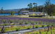Private Tasman Peninsula Cruise Ship Tour From Port Arthur - thumb 0