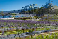 Private Tasman Peninsula Cruise Ship Tour from Port Arthur